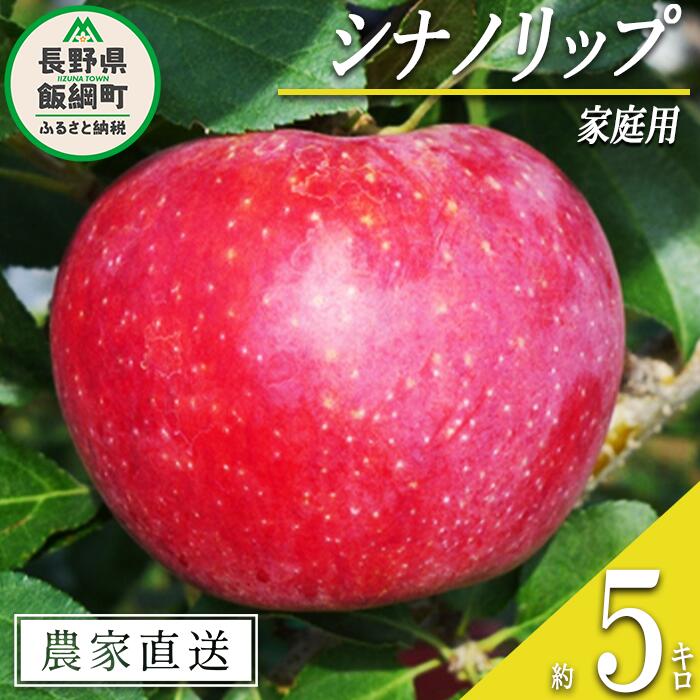 【ふるさと納税】 りんご シナノリップ 家庭用 5kg ヤマウラ農園 沖縄県への配送不可 令和7年度収穫分 長野県 飯綱町 〔 信州 果物 フルーツ リンゴ 林檎 長野 17000円 予約 農家直送 〕発送時期：2025年8月中旬〜2025年8月下旬 {**}