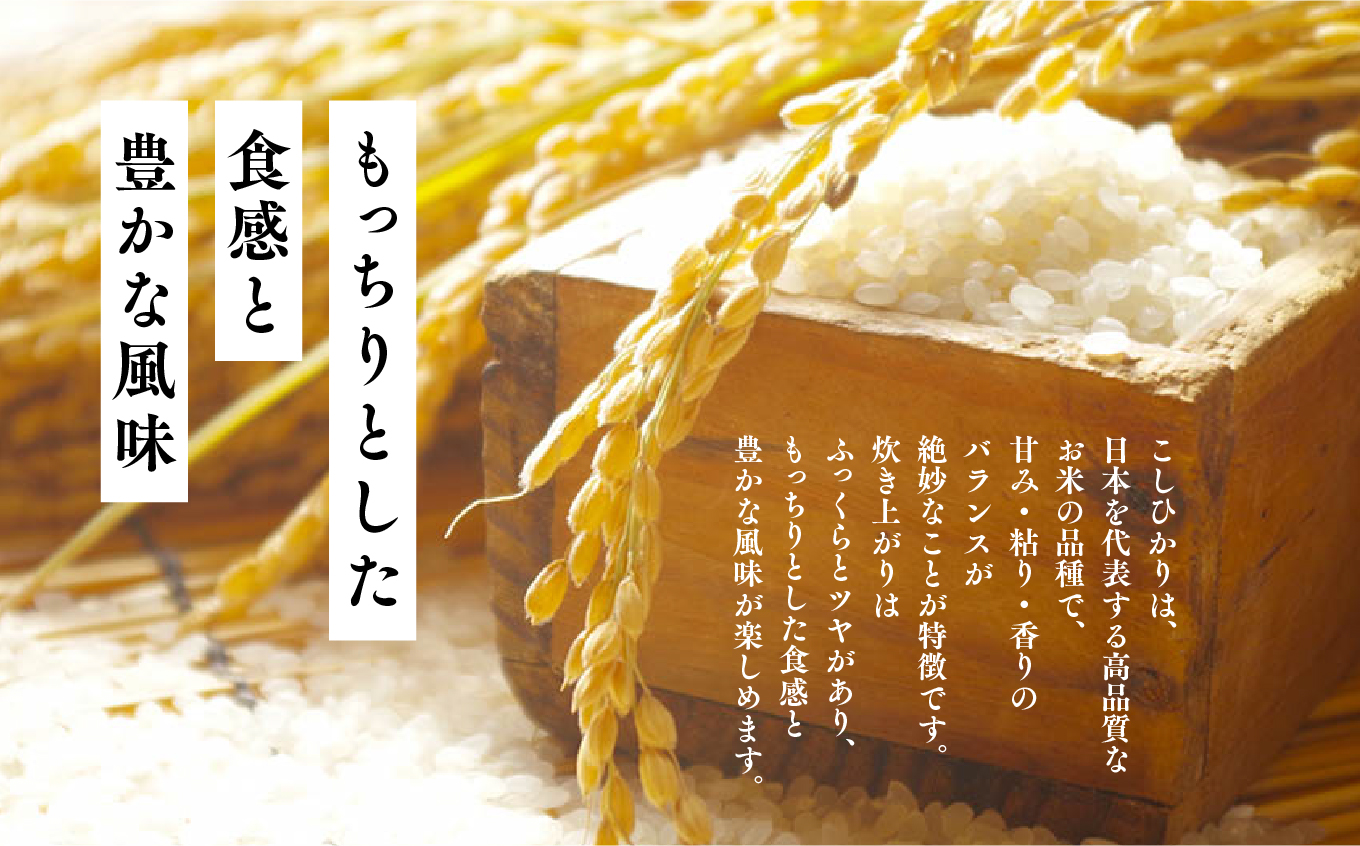 《新米先行予約》【毎月届く】令和8年産 福島県産こしひかり 玄米 定期便 20kg 9回 株式会社あだたら米 二本松市