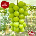 【ふるさと納税】 【農業者支援】山形県高畠町産 ご家庭用 シャインマスカット 約2.4kg（3～4房） 箱詰め 2024年9月中旬から順次発送 ぶどう ブドウ 葡萄 マスカット 大粒 種なし 高級 くだもの フルーツ 秋果実 家庭用 自宅用 訳あり 産地直送 農家直送 数量限定 F21B-218