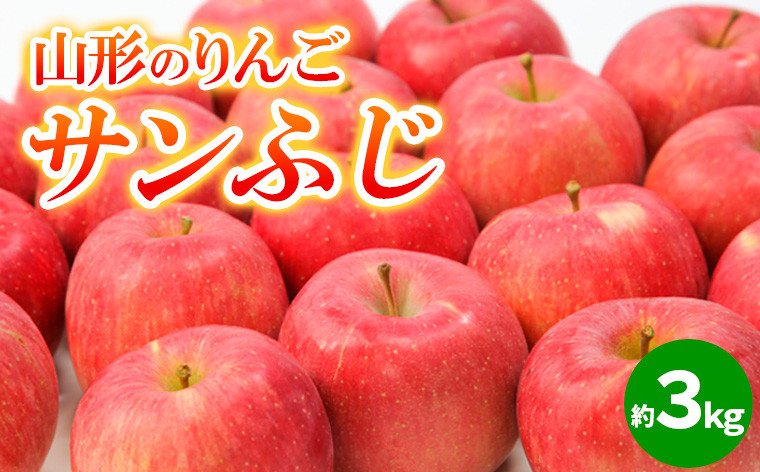 
山形のりんご サンふじ 秀品 約3kg(6～12個) FY24-209
