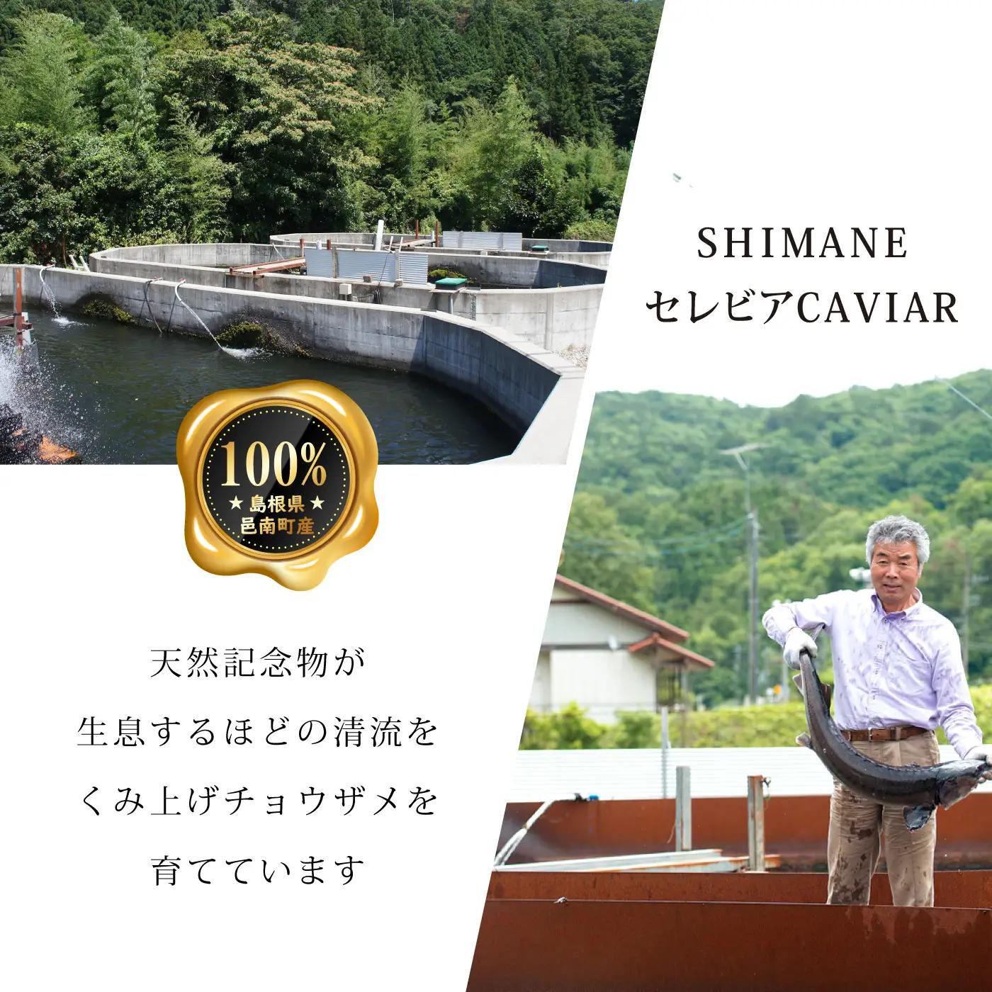 盃 Sakazuki Caviar：池月酒造 純米吟醸 縁の舞50使用