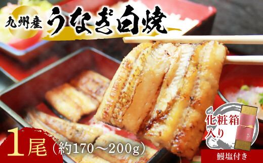 
志おや 九州産 うなぎ 白焼 1本 約170～200g 塩 付
