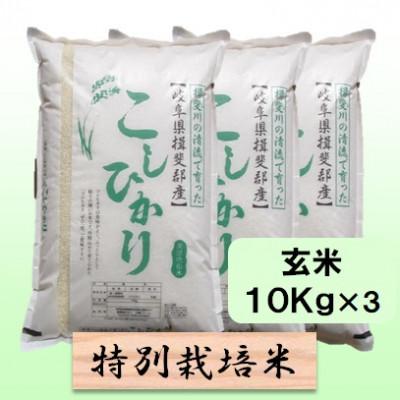 ふるさと納税 池田町 【令和7年産】特別栽培米 30kg【玄米】(コシヒカリ)