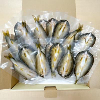 ふるさと納税 長浜市 びわこ生まれの鮎　一夜干し　20枚(2尾/パック)無添加　背骨なし |  | 02