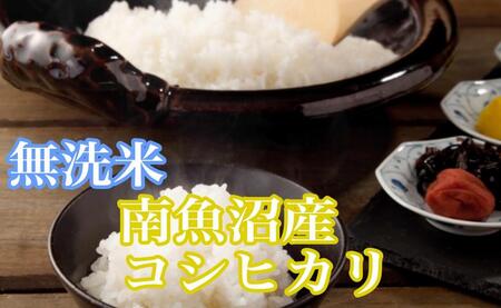 【令和7年産】【定期便8kg×3ヶ月】●吟精 無洗米●南魚沼産コシヒカリ【2025年10月上旬より順次発送予定】