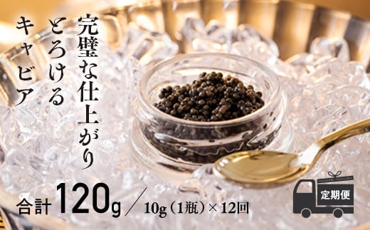 『定期便』:12ヶ月　THE・CAVIAR(ザ・キャビア)10g　 TF0494