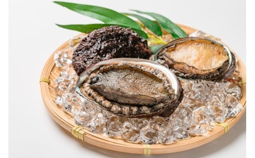 広田湾産 養殖あわび 10個セット ( 殻長 6cm～7cm )【 アワビ 鮑 肉厚 冷蔵 料理 年末年始 おせち 人気 】 RT3189-10