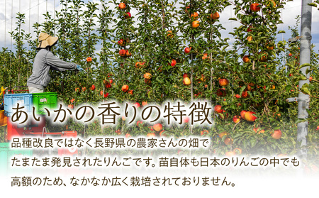 【2024年/令和6年度発送分！先行予約】りんご 長野 あいかの香り 約 3kg 幻のりんご フルーツ 果物 デザート おやつ リンゴ 林檎 あいか 産地直送 長野県 長野県産 信州産