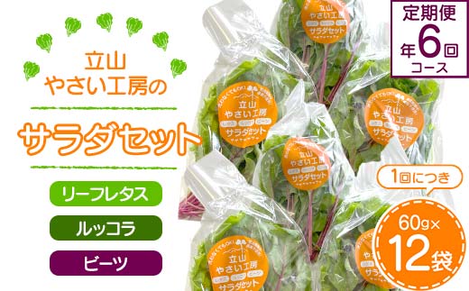 ＜定期便＞立山やさい工房のサラダセット 定期便年6回コース 各60g×12袋 ＜全6回＞ 定期便 6ヶ月連続 農薬不使用 水耕栽培 新鮮 野菜 サラダ 小分け リーフレタス ルッコラ ビーツ セット 冷蔵 国産 食品 立山やさい工房  F6T-251