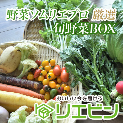 【毎月定期便】【上旬発送】こだわりの旬野菜BOX「リエビン」季節の野菜セット全12回【配送不可地域：離島・沖縄】【4012345】