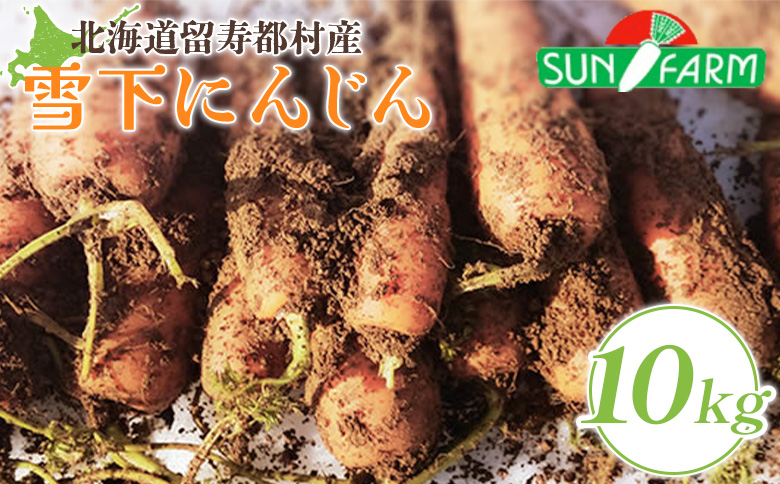 雪下にんじん 10kg 人参 にんじん ニンジン 越冬 オンライン 申請 ふるさと納税 北海道 留寿都 野菜 春 旬野菜 季節野菜 甘い フルーツ みずみずしい 産地直送 新鮮 採れたて サラダ カレー おかず 10キロ 留寿都村【2400501】