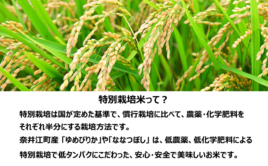【定期便12回】北海道奈井江町　特別栽培米　ゆめぴりか　10kg【無洗米】