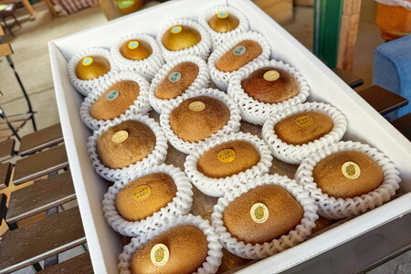 キウイ 掛川産 カラフルキウイ 5種・15個～18個セット　キウイフルーツカントリーJapan 5887