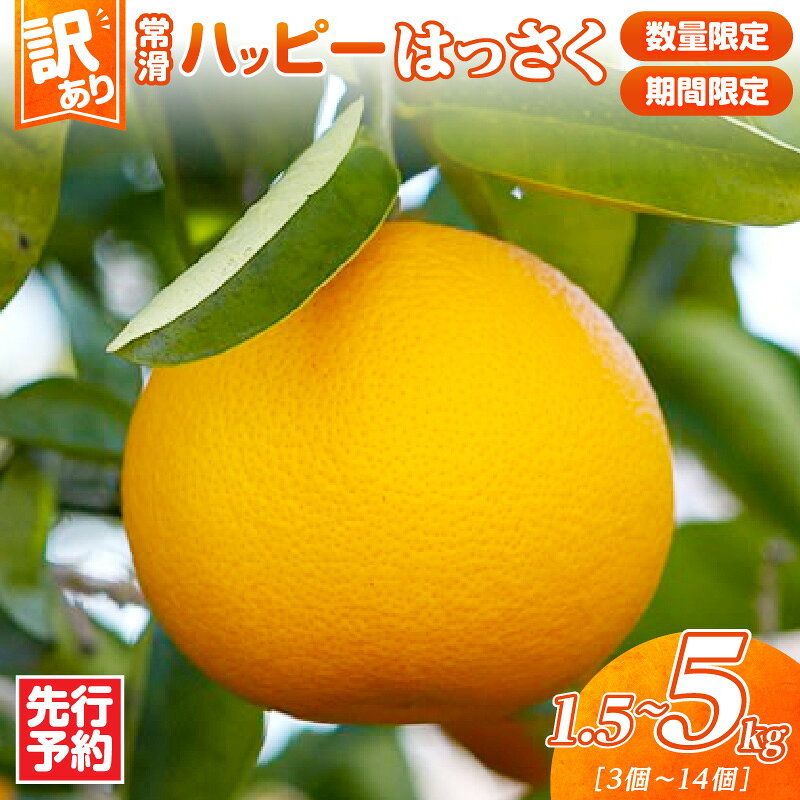 【ふるさと納税】先行予約【 訳あり 】＼数量限定／ 常滑ハッピーはっさく【選べる！1.5kg または 4～5kg】 はっさく 果物 みかん 柑橘 フルーツ 季節のフルーツ お取り寄せ【2027年1月中旬～順次発送】送料無料