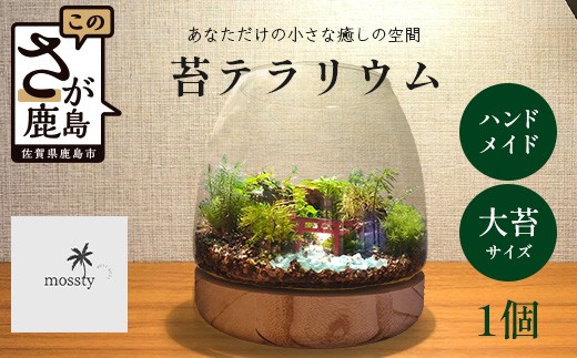 
                  J-33　苔テラリウム　手入れ簡単 癒やしのインテリア 卓上サイズ 誕生日 プレゼント雑貨 天然苔  贈り物 観葉植物 初心者 ミニチュア 鹿島市産 / mossty
                