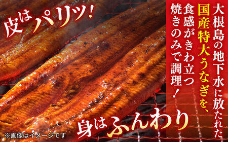 【3回定期便】うなぎ老舗専門店のパリっとふっくら国産うなぎ 蒲焼カット4食セット(蒲焼のタレ付き) 島根県松江市/株式会社山美世商会[ALDC019]