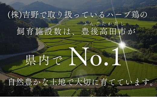 【鶏モモ・むね肉 各2kg／12か月定期便】大分県産 ハーブ鶏 計48kg 業務用 冷蔵 配送 国産 九州 鶏肉 鶏もも ムネ 定期便 毎月 発送 12回