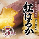 【ふるさと納税】【先行受付】しっとりして甘い　紅はるか5kg ｜ さつまいも サツマイモ 焼き芋 やきいも 産地直送 スイート　※2024年9月中旬～2025年5月上旬頃まで順次発送予定
