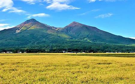 令和5年産 福島県産 あさか舞コシヒカリ 無洗米10kg（5kg×2袋）【3ヶ月定期便】