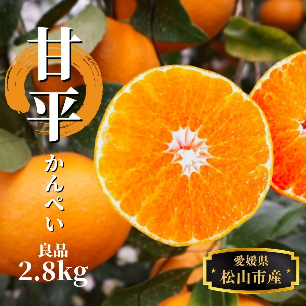 【ふるさと納税】 【甘平】約2.8kg（良品） ＜2月頃発送 ＞| 愛媛 みかん 先行予約 蜜柑 柑橘 果物 くだもの フルーツ お取り寄せ グルメ 期間限定 数量限定 人気 おすすめ 愛媛県 松山市