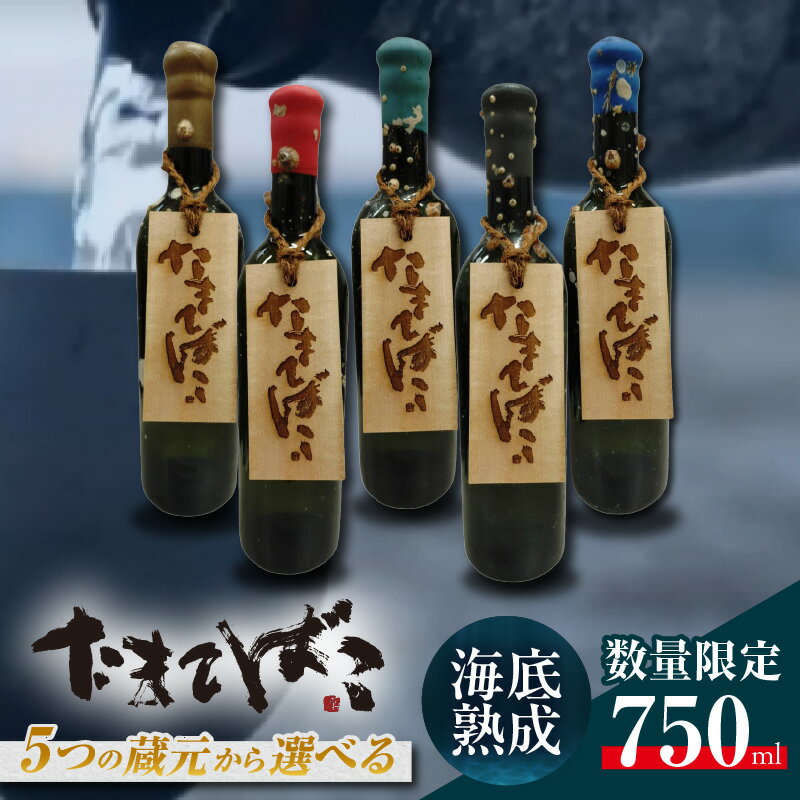 【ふるさと納税】テレビで紹介！伊勢湾竜宮熟成酒 たまてばこ《海底熟成 750ml》【選べる蔵元】数量限定！ 天然熟成酒 化粧箱入 日本酒 純米酒 海底 海の底で熟成 玉手箱 海中のお酒 酒 珍しい返礼品 海の恵み 竜宮 ギフト 日本酒愛好家 風呂敷に包んで 送料無料