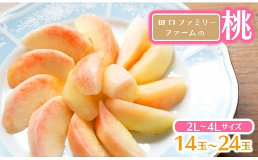 
                  【田口ﾌｧﾐﾘｰﾌｧｰﾑ】旬の桃 2L～4L(14～24玉)(2025年6月中旬発送開始) N053-YZB710
                