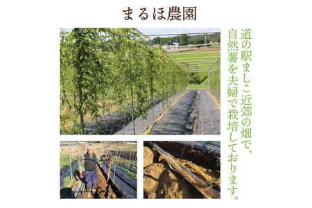 AJ002　益子・まるほ農園の自然薯そばと自然薯うどん　10袋セット