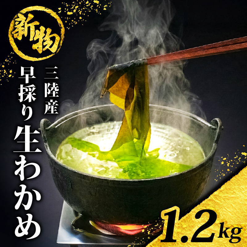【先行予約】 早採り生わかめ 新物 1.2kg(200g×6袋) 期間限定 ★2026年1月～発送予定★