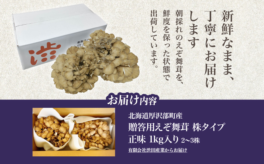 北海道厚沢部町産 贈答用えぞ舞茸（株タイプ）正味1kg入り（2〜3株） ASM007
