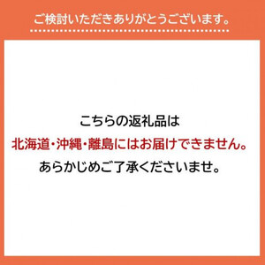 ピオーネ　1.5kg以上　※2025年8月下旬頃に順次発送予定　※北海道・沖縄・離島への発送不可  | ぶどう ピオーネ