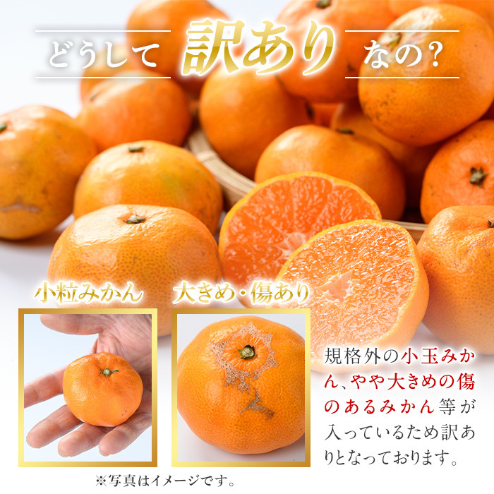 どうして訳ありなの？