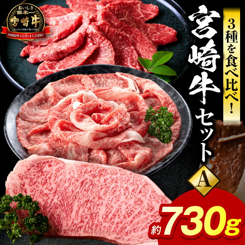 【ふるさと納税】宮崎牛のセットA
