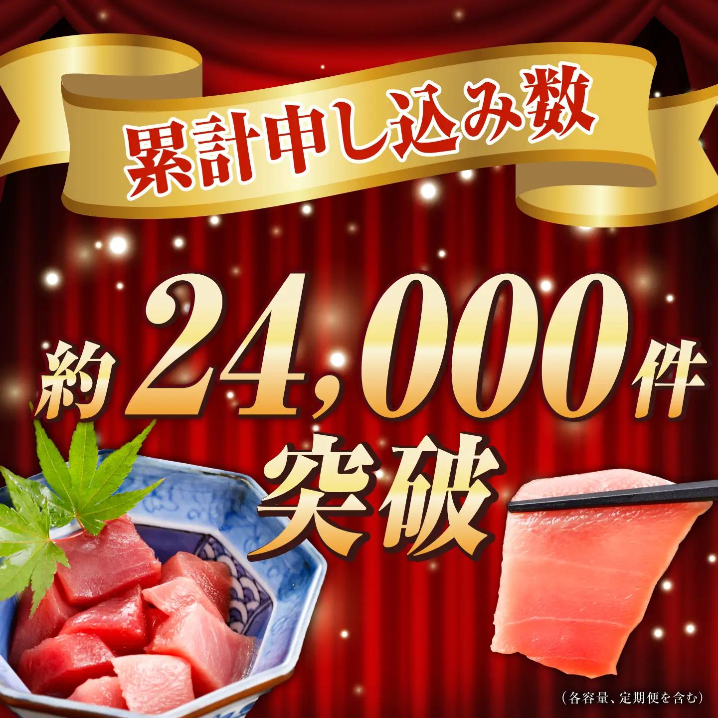 【冷蔵だから人気！】生本マグロ 赤身 中トロ 計約500g [RBP003] 