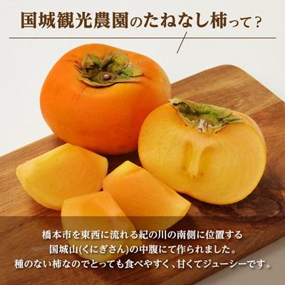 ふるさと納税 橋本市 国城観光農園のたねなし柿(家庭用・訳あり)約7.5kg |  | 02