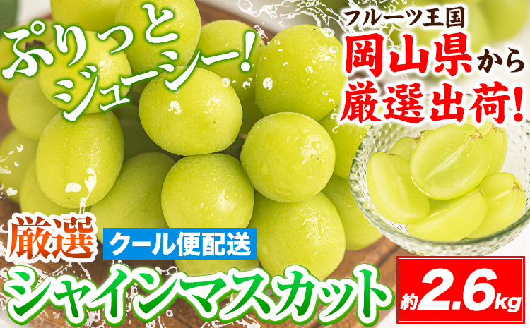【速攻出荷！ 3～7営業日発送】シャインマスカット 岡山 約2.6kg 厳選 旬 ぶどう ブドウ 葡萄 マスカット 果物 フルーツ ギフト 岡山県 笠岡市 クール便 爽やか《3~7営業日以内に発送》