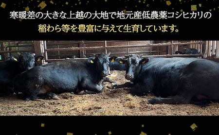 【にいがた和牛】くびき和牛　サーロインステーキ(250g×2枚)  上越市 牛肉 和牛