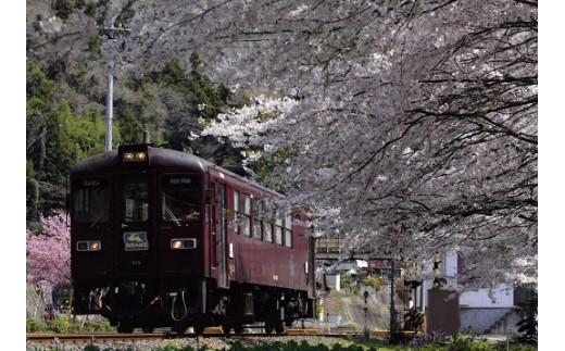 渡良瀬川の渓谷に沿って走る「わたらせ渓谷鐵道」の車窓からは、四季折々の自然が満喫できます。