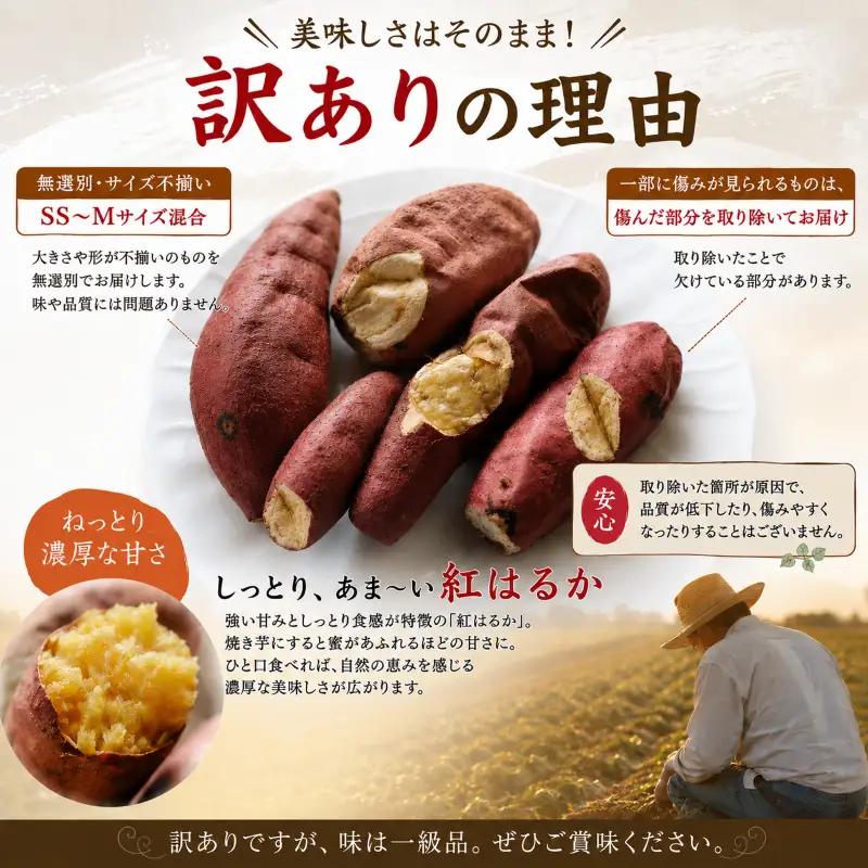 訳あり 焼き芋 冷やし焼き芋 紅はるか 約1.5kg 冷蔵
