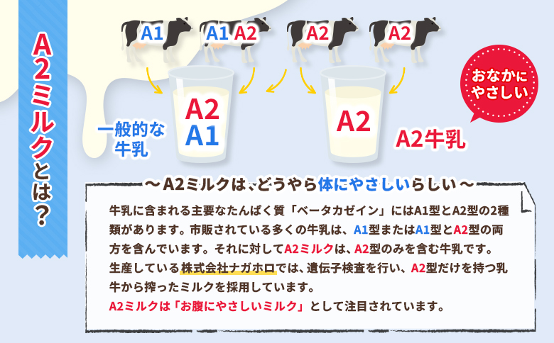 【定期便：全3回】なかしべつ牛乳プレミアム NA2 MILK 1000ml×12本【1403201】 【定期便：全3回】1L×12本