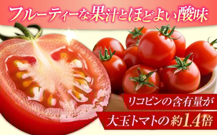 野菜 やさい トマト とまと フルーツ フルーツトマト ミニトマト プチトマト ビタミン 常温 リコピン 健康 美容 国産