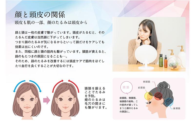 デンキブラシ モッサーモ 頭皮ケアブラシ 美容 健康機器 