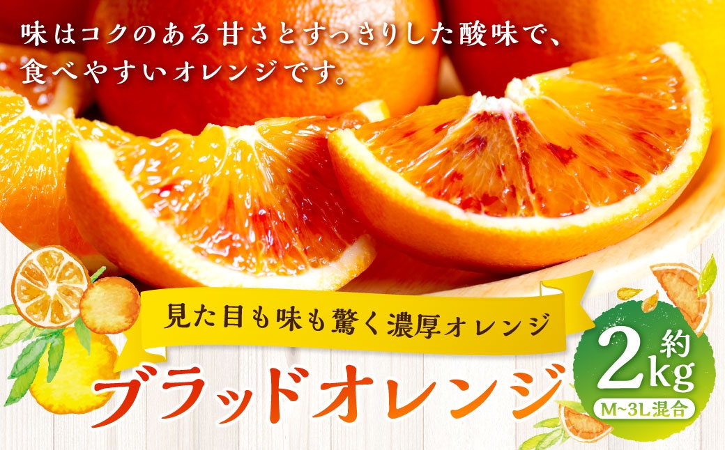 
                  【 見た目も味も驚く濃厚オレンジ 】 ブラッドオレンジ 約2kg オレンジ おれんじ 柑橘 柑橘系 柑橘類 みかん ミカン くだもの 果物 フルーツ 果実 果汁 果肉 国産 愛媛県産 【 2027年2月下旬～4月上旬発送予定 】 ( 1069 )
                