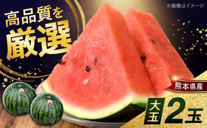 
                  熊本県産 大玉 スイカ (2玉) 計約10～12kg M、L階級　西瓜 すいか 春のだんらん【菊池地域農業協同組合】 [AYBR008]
                