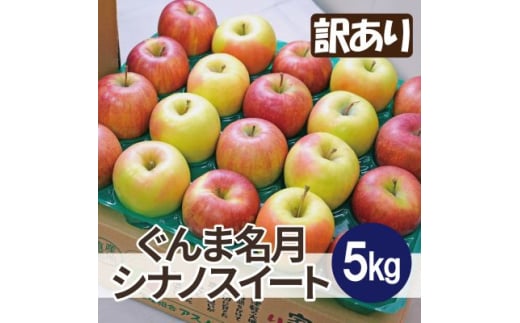 ＜25年12月より順次発送＞糖度13度以上保証! ぐんま名月×シナノスイート 約5kg 訳あり【1613318】