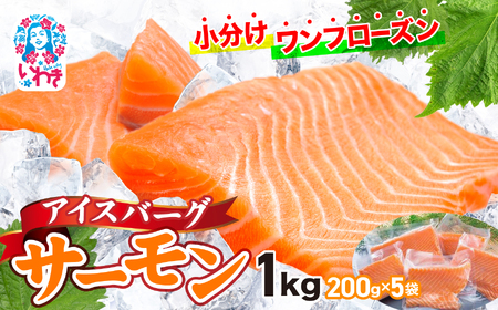アイスバーグサーモン約200g×5P アトランサーモン