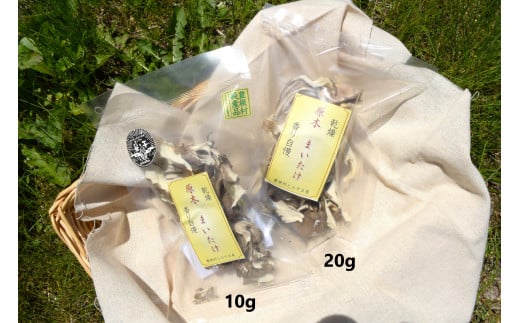 【20】乾燥　原木まいたけ　10ｇ