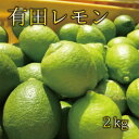 【ふるさと納税】 【国産】紀州和歌山　有田レモン 約2kg　※2024年10月上旬～2025年1月下旬順次発送