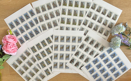 馬のまち栗東　馬と花のステーショナリーセットA / 切手 ポストカード メモ帳 クリアファイル 雑貨 / 栗東市 / nashira (nashira picture of horse)[BIBN00