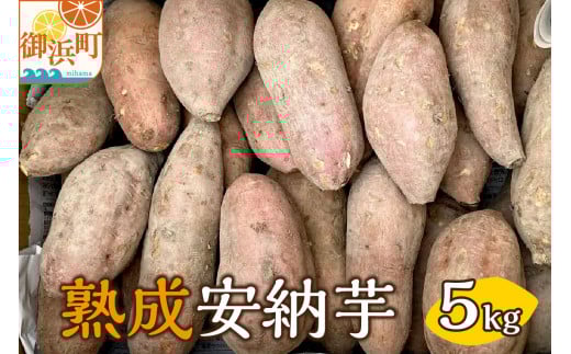 ブライトライフの熟成安納芋5キロ（生芋）【野菜 芋 安納芋 栽培期間中農薬不使用 5kg ブライトライフ 三重県 御浜町】