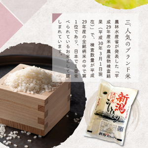 2025年3月下旬より発送【定期便】令和6年産 新潟県矢代産コシヒカリ10kg(5kg×2袋)×3回（計30kg） 新潟県 上越 矢代産 白米 お取り寄せ